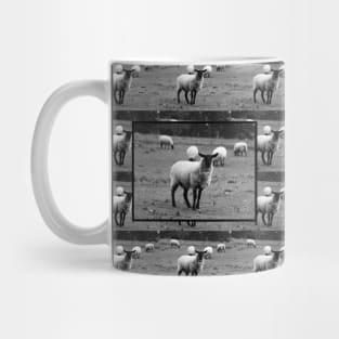 Sheep Mug